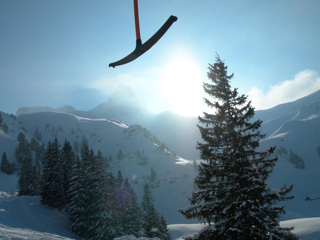 Hotel Tannenboden - Steinbock Flumserberg Zewnętrze zdjęcie